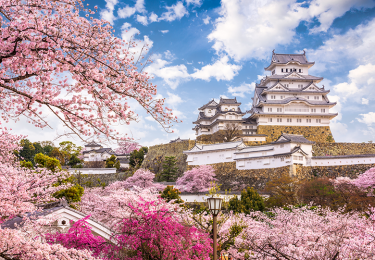 OSAKA – KOBE – KYOTO – NAGOYA  YAMANASHI – TOKYO
