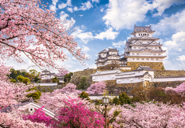 DU LICH NHẬT BẢN  - CUNG ĐƯỜNG VÀNG - OSAKA -TOKYO- NÚI PHÚ SĨ