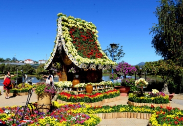 TOUR PHỐ HOA ĐÀ LẠT - HOA TRONG RỪNG - CAPHE MELINH - KDL TÂM LINH SATEM HILLS